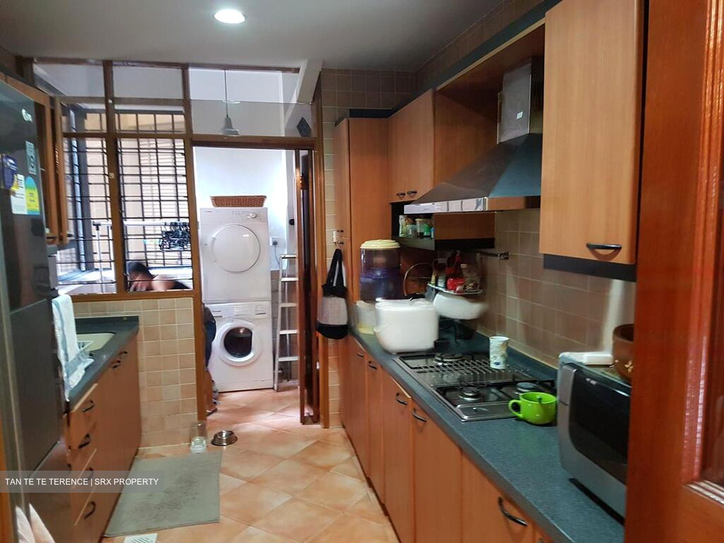 Spanish Village (D10), Condominium #565716481